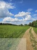 Działka budowlana 960 m² – Kosówka - 3