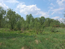 Działka budowlana Suchostruga gm. Tarczyn, - 6