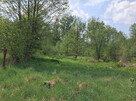 Działka budowlana Suchostruga gm. Tarczyn, - 7
