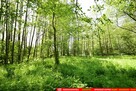 Dom do wykończenia graniczący z rz. Ciemięgą - 11