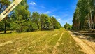PRYWATNA PRZESTRZEŃ Z POTENCJAŁEM 4,47 HA - 6
