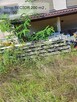 Syndyk sprzeda strop RECTOR 200 m2 - 3