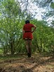 Spacer po lesie - 2