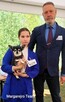 Chihuahua piękny długowłosy piesek rodowód ZKWP - 5