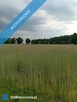 Sprzedam działkę budowlaną 1760m, Kownaty, gm. Płońsk ,WZ i Media , 45 min - 2