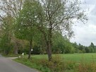 Działka rolna Sobącz gm. Liniewo - 2