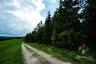 Atrakcyjny teren z linią jez. Kiersztanowskiego - 13