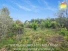 Działka budowlana Adamów-Parcel gm. Radziejowice - 3
