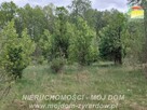 Działka budowlana Adamów-Parcel gm. Radziejowice - 6