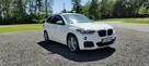 BMW X1 Krajowy, bezwypadkowy, drugi właściciel. Roczna gwarancja w cenie. - 3