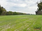 Działka usługowa Mieszków gm. Jarocin, - 5