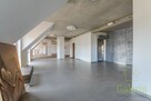 Loft 308 m² z widokiem na Odrę - 6