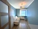 Rozkładowe 2 pokoje, pet friendly - Kolendrowa 8B - 5