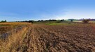 Działka 53ar w doskonałej cenie - blisko Nałęczowa - 6