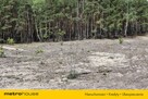 Działka usługowa 7000 m² WZ pod hotel, dom opieki - 2