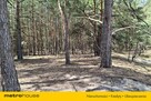 Działka usługowa 7000 m² WZ pod hotel, dom opieki - 6