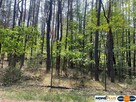 Atrakcyjna działka 2190 m², las i rzeka. - 3