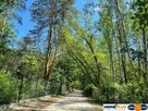 Atrakcyjna działka 2190 m², las i rzeka. - 9