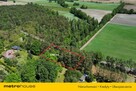 MARIAMPOL - działka budowlana 1100 m2. - 11