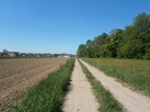 Działka * SPRZEDAŻ * Mielec* Wojsław