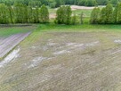 Działki rolne pod gospodarstwo i wypas zwierząt, Kuny, Leoni - 5