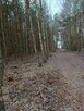 Las sosnowy 3,24 ha - Zacharzów/Radzanów, woj. mazowieckie - 7