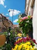 Poznam