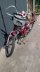 Sprzedam rower batavus koala koła 20cali - 6