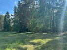 Działka 1,46 ha w Błędnicy – budowlano-leśna, media przy dzi - 10