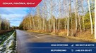 Atrakcyjna działka przy lesie z doskonałym dojazdem | 8243 m² | Piskórka - 4
