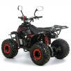 Inna Inny Quad ATV 110cc MODEL B7 Automat Koła 7 cali Piloty Licznik LED - 5