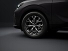 Cupra Terramar Pakiet Immersive - Pakiet Moon Light - Rocznik 2026! - 5