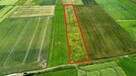 Działka siedliskowa Woźniki - 3