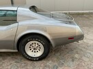 1977 Corvette C3 Targa 5.7 V8 Automat LUXURYCLASSIC - 9