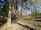 Działka leśna Ostrusza gm. Ciężkowice - 1