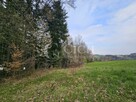 Działka leśna Ostrusza gm. Ciężkowice - 3