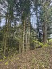 Działka leśna Ostrusza gm. Ciężkowice - 13
