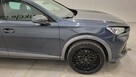 Cupra Formentor 2.0 TSI 4Drive DSG - 4