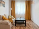 Jasną kawalerka, pet-friendly - Ziołowa 43A - 1