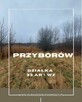 Przyborów gm. Borzęcin działka budowlano-rolna 33 ar