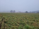 Działka budowlana Brok - 7