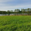 Działka nad jeziorem z linią brzegową - 2