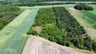 Duża szeroka działka 3,76ha wz na 2 domy media , cisza las - 7