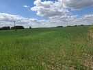 Sprzedam działkę rolno budowlaną - 6