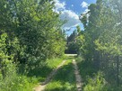 Działka 1,46 ha w Błędnicy – budowlano-leśna, media przy dzi - 11