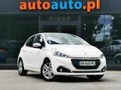 Style, Manual, Facelifting 1.2 Benzyna 82KM, Przebieg 42122k
