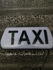 Kogut TAXI - 1