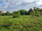 Działka inwestycyjna Wymiarki, - 2