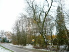 Działka budowlana Tomaszowice-Kolonia gm. Jastków, Tomaszowice Kolonia - 10