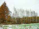 Działka budowlana Tomaszowice-Kolonia gm. Jastków, Tomaszowice Kolonia - 12